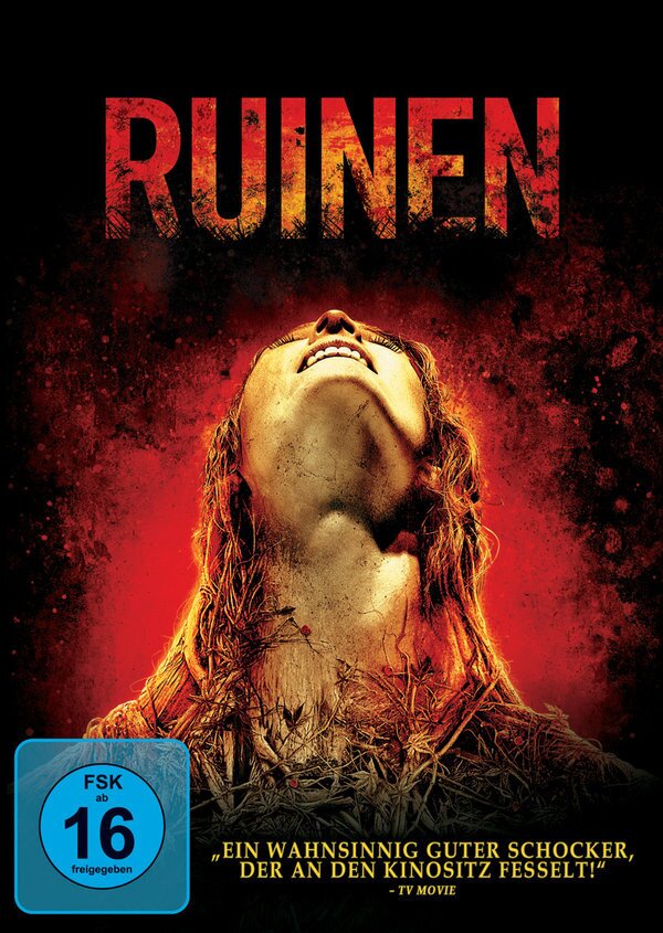 Ruinen (2008) (Gebraucht Artikel)