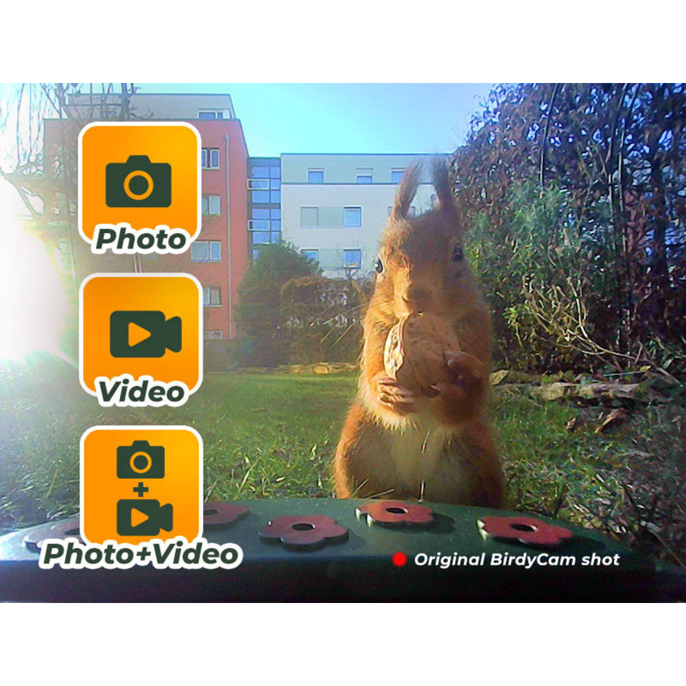 EASYPIX Vogelfutterhaus -BirdyCam- mit HD-Kamera, Solar-Panel und Akku