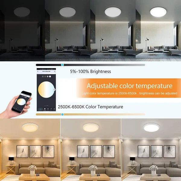 Wifi Smart Led Deckenleuchte 24W Dimmbar RGB - Tuya/Smart Life (Neuwertig/Gebraucht)