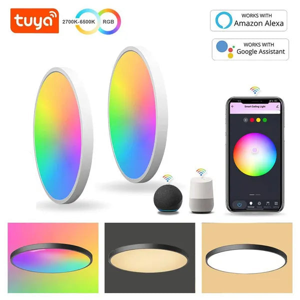 Wifi Smart Led Deckenleuchte 24W Dimmbar RGB - Tuya/Smart Life Kompatibel
