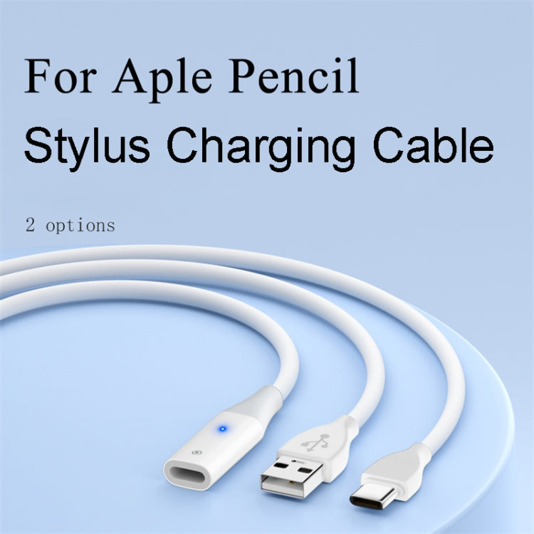 Für Apple Pencil 1 USB-C / Typ-C auf Typ-C Stylus-Ladekabel mit Kontrollleuchte 1 m (weiß)