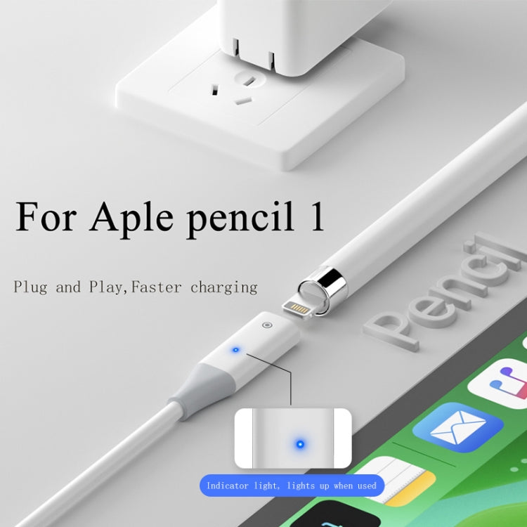 Für Apple Pencil 1 USB-C / Typ-C auf Typ-C Stylus-Ladekabel mit Kontrollleuchte 1 m (weiß)
