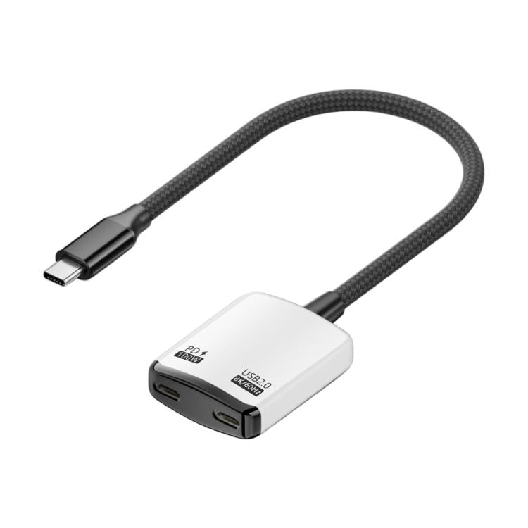 2-in-1-AR-Konverter mit vollem Funktionsumfang: USB-C auf Dual-USB-C (Schwarz/Weiß)