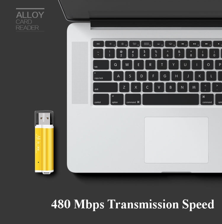 All in 1 USB 2.0 Micro SD SDHC TF M2 MMC MS PRO DUO Speicherkartenleser (blau)