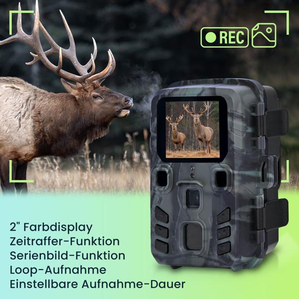 Casativo Tech Kompakte Wildkamera, Full HD, PIR Bewegungssensor, Nachtsicht mit IR LEDs, IPX5, 180g leicht, Farbdisplay, für eine diskrete Tierbeobachtung elektroniktrade Switzerland