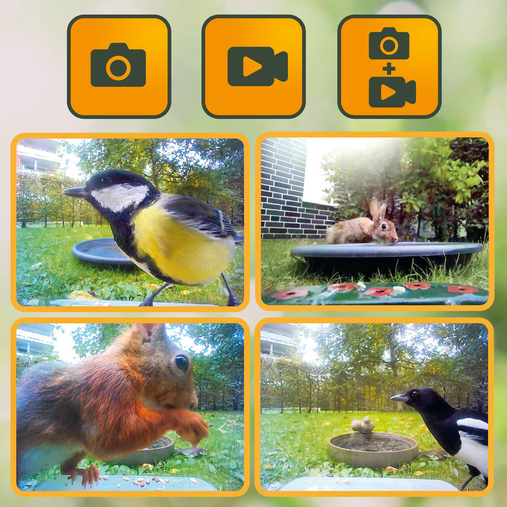 Easypix EASYPIX Vogelfutterhaus -BirdyCam- mit HD-Kamera, Solar-Panel und Akku Elektroniktrade Switzerland