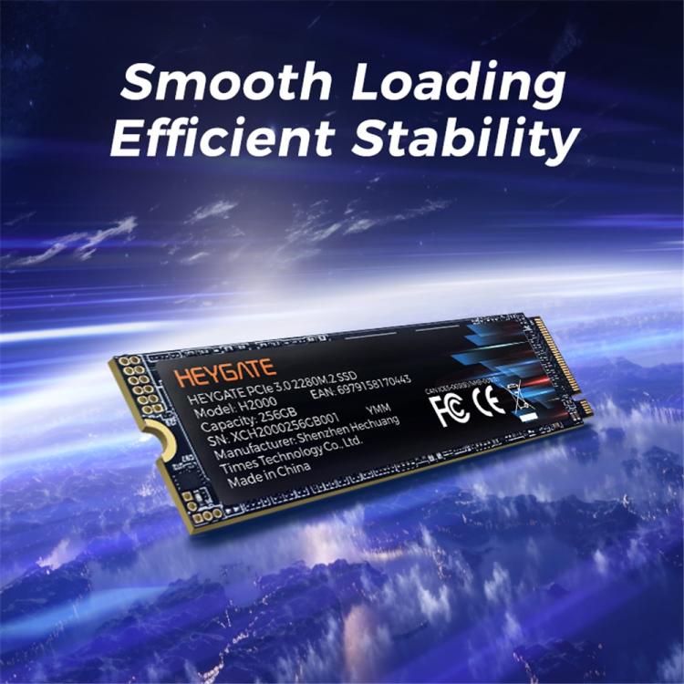HEYGATE 💾 HEYGATE H2000 M.2 NVMe SSD PCIe 3.0 – 256 GB / 512 GB – bis 2400 MB/s elektroniktrade Switzerland