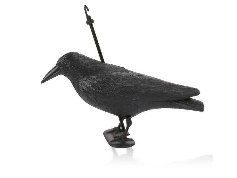 Red Eagle Rabe zur Vogel-Abwehr