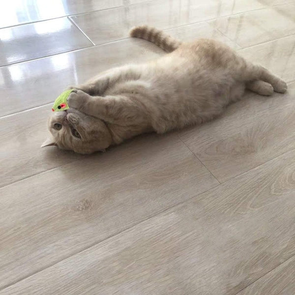 Katzenminze Maus Simulation Plüsch Pet Toy