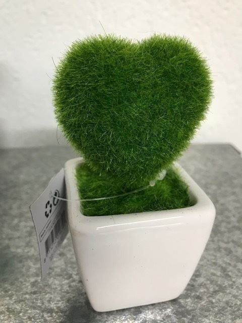 Kunstpflanzen im Topf ( Porzellan ) 5x11 | #Elektroniktrade.ch#