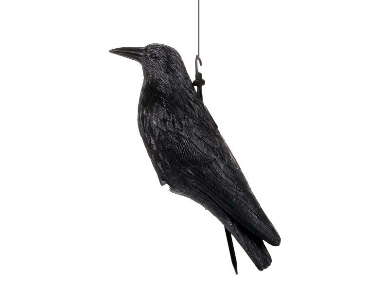 Red Eagle Rabe zur Vogel-Abwehr