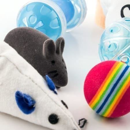 Katzenspielzeug Cat Toys | #Elektroniktrade.ch#