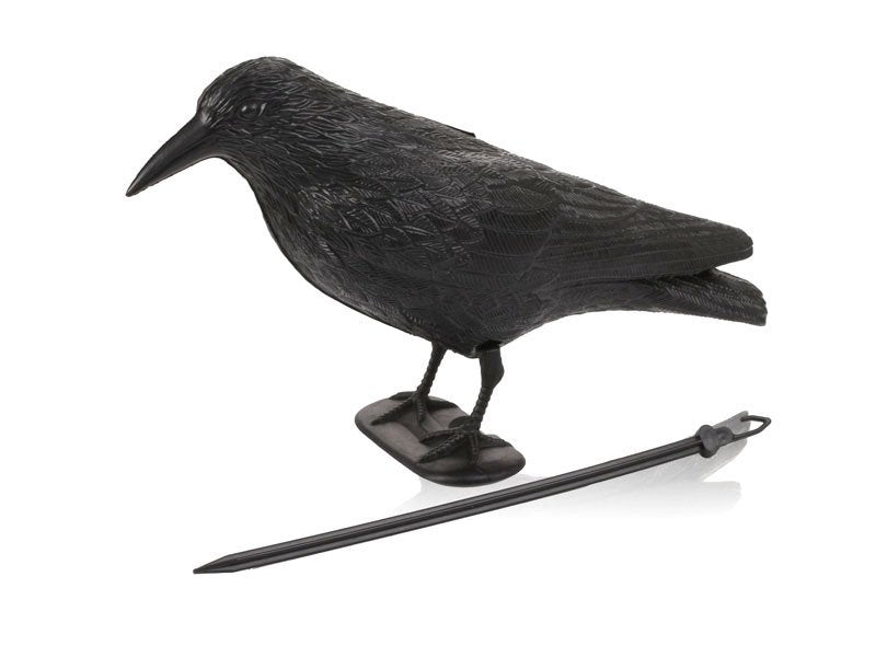 Red Eagle Rabe zur Vogel-Abwehr