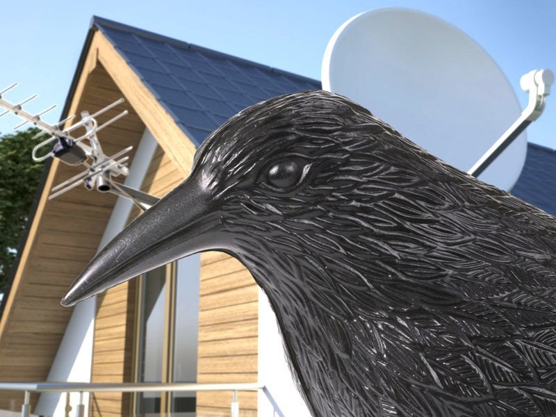 Red Eagle Rabe zur Vogel-Abwehr