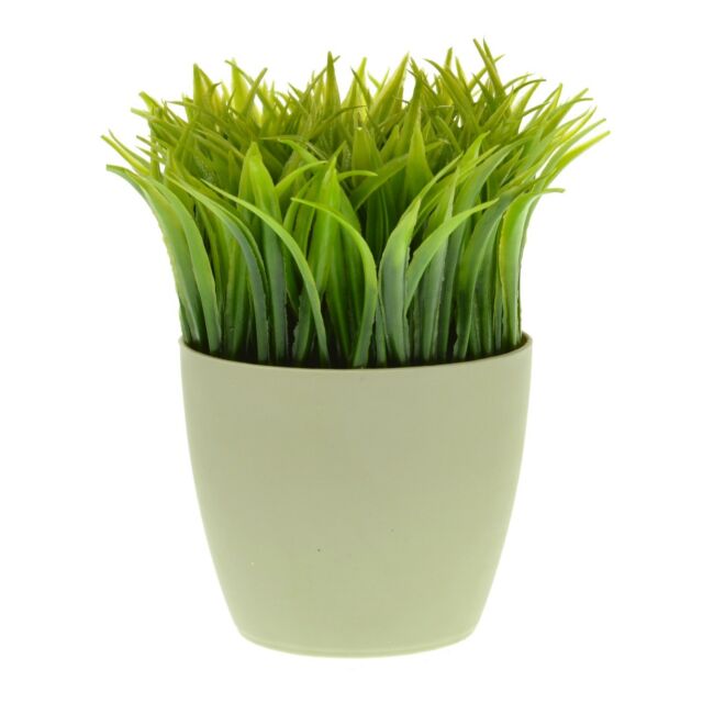 Out of the Blue Stiftehalter Grasstopf | #Elektroniktrade.ch#