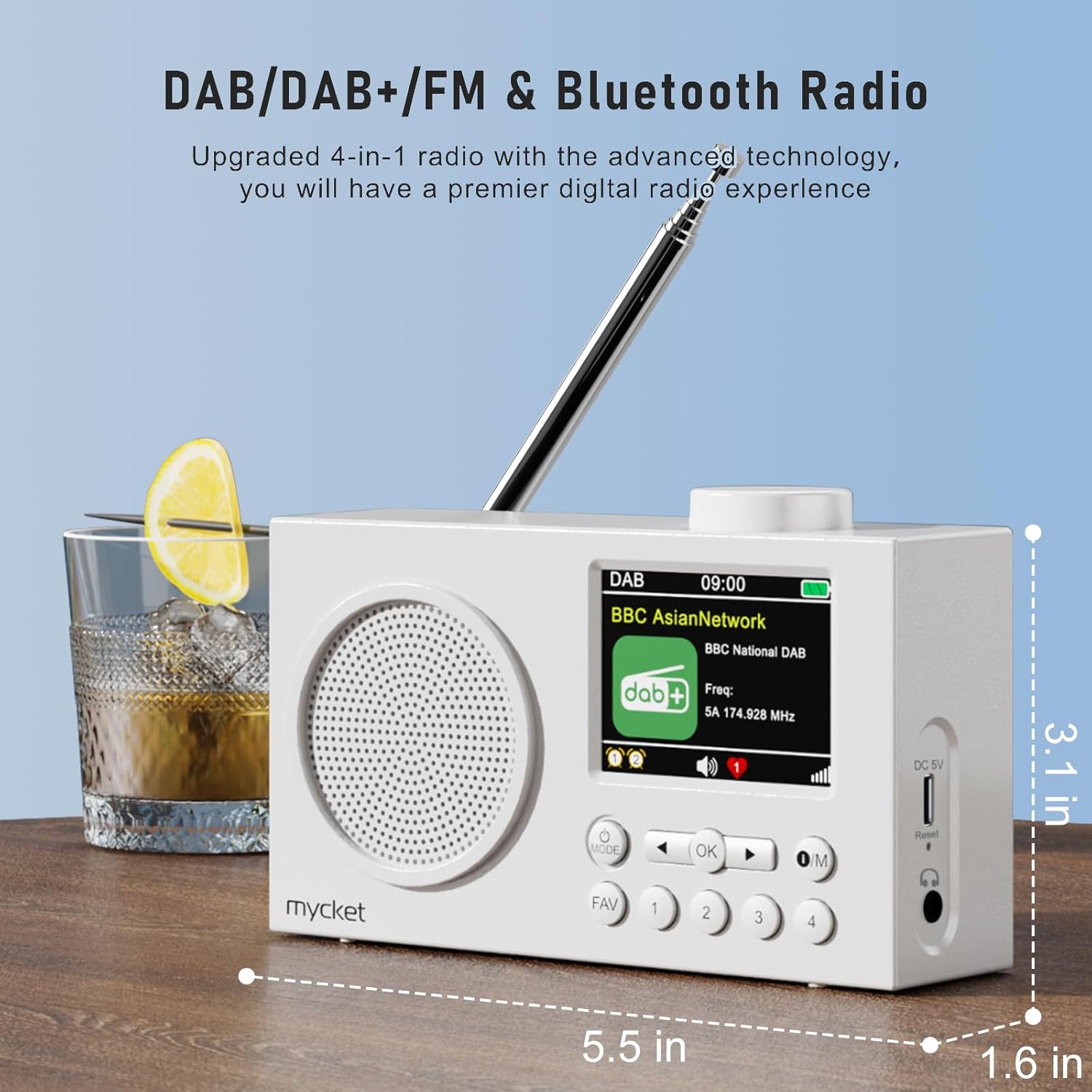 Tragbares DAB/DAB+ Radio, UKW Digitalradio mit Bluetooth & Akku