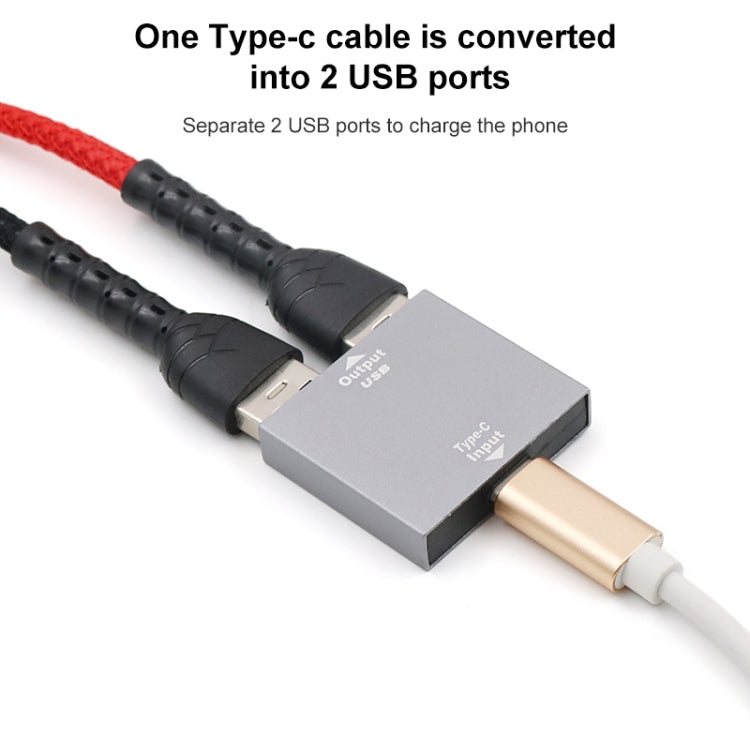 USB-C / Typ-C-Buchse auf USB-Buchse 1 bis 2 Converter