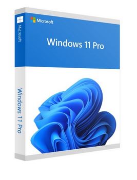 Microsoft Windows 11 Professional ESD