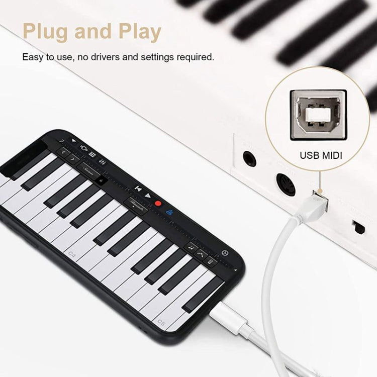 Elektroniktrade Typ-C-zu-USB-B-MIDI-Adapterkabel für Samsung-/Huawei-Laptops 1 m Elektroniktrade Switzerland