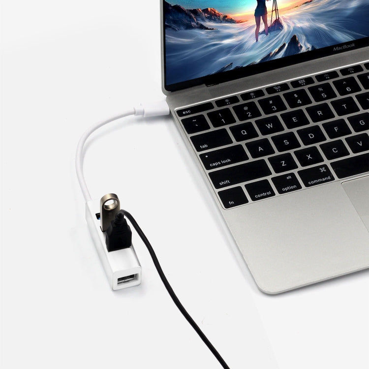 eTrade Tragbarer USB-C / Typ C-Stecker auf 4 USB-Anschlüsse Buchse HUB-Adapter Elektroniktrade Switzerland