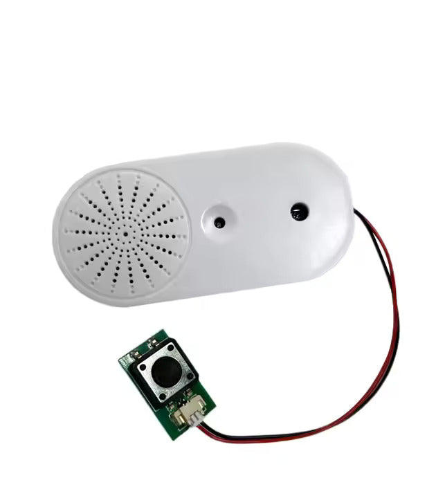 Voice Express Sprachrekorder mit Aufnahme Chip für Gags und Geschenke elektroniktrade Switzerland