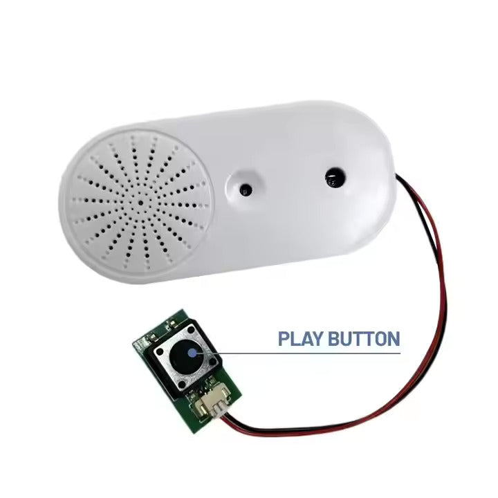 Voice Express Sprachrekorder mit Aufnahme Chip für Gags und Geschenke elektroniktrade Switzerland