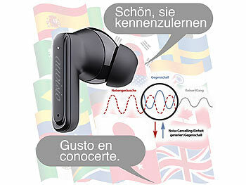 in Ear Übersetzer