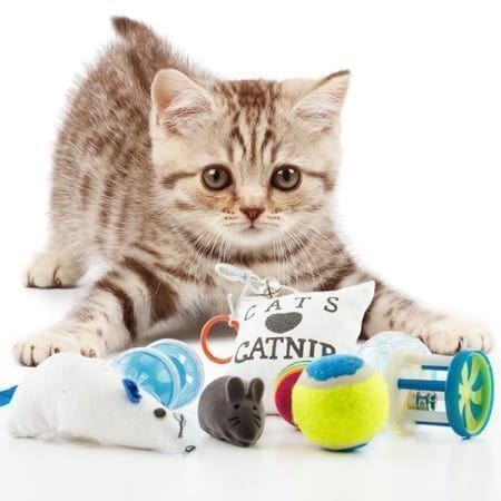 Katzenspielzeug Cat Toys | #Elektroniktrade.ch#