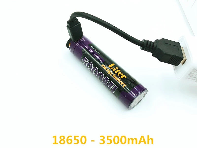 Liter Energie 18650 3500mAh 3,7 V Li-Ion Akku mit USB Anschluss Elektroniktrade Switzerland